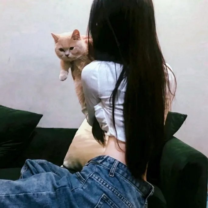 假结婚真幸福
